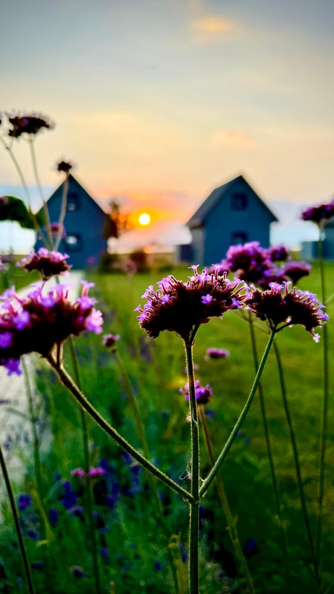 Sloneczna Przystan Vila Dziwnówek Exterior foto