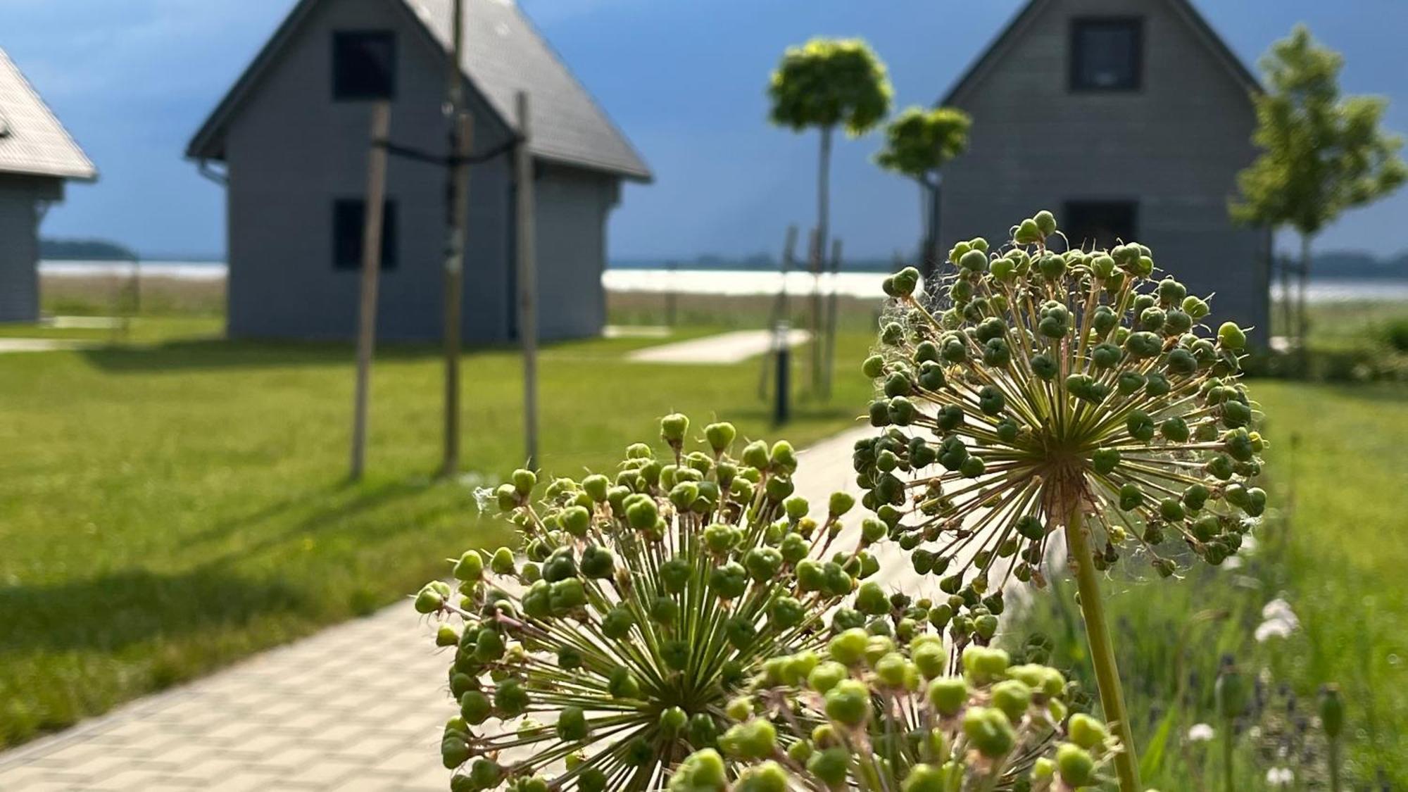 Sloneczna Przystan Vila Dziwnówek Exterior foto