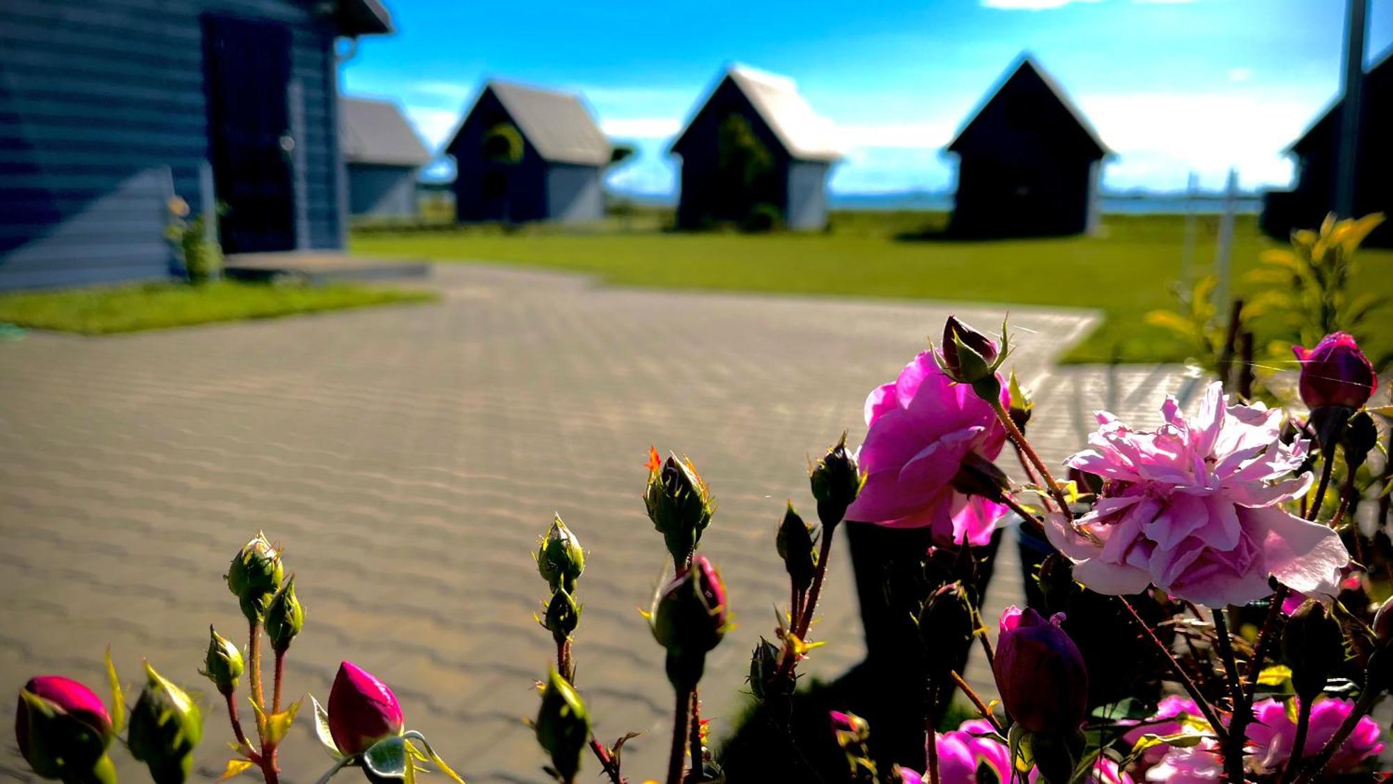 Sloneczna Przystan Vila Dziwnówek Exterior foto