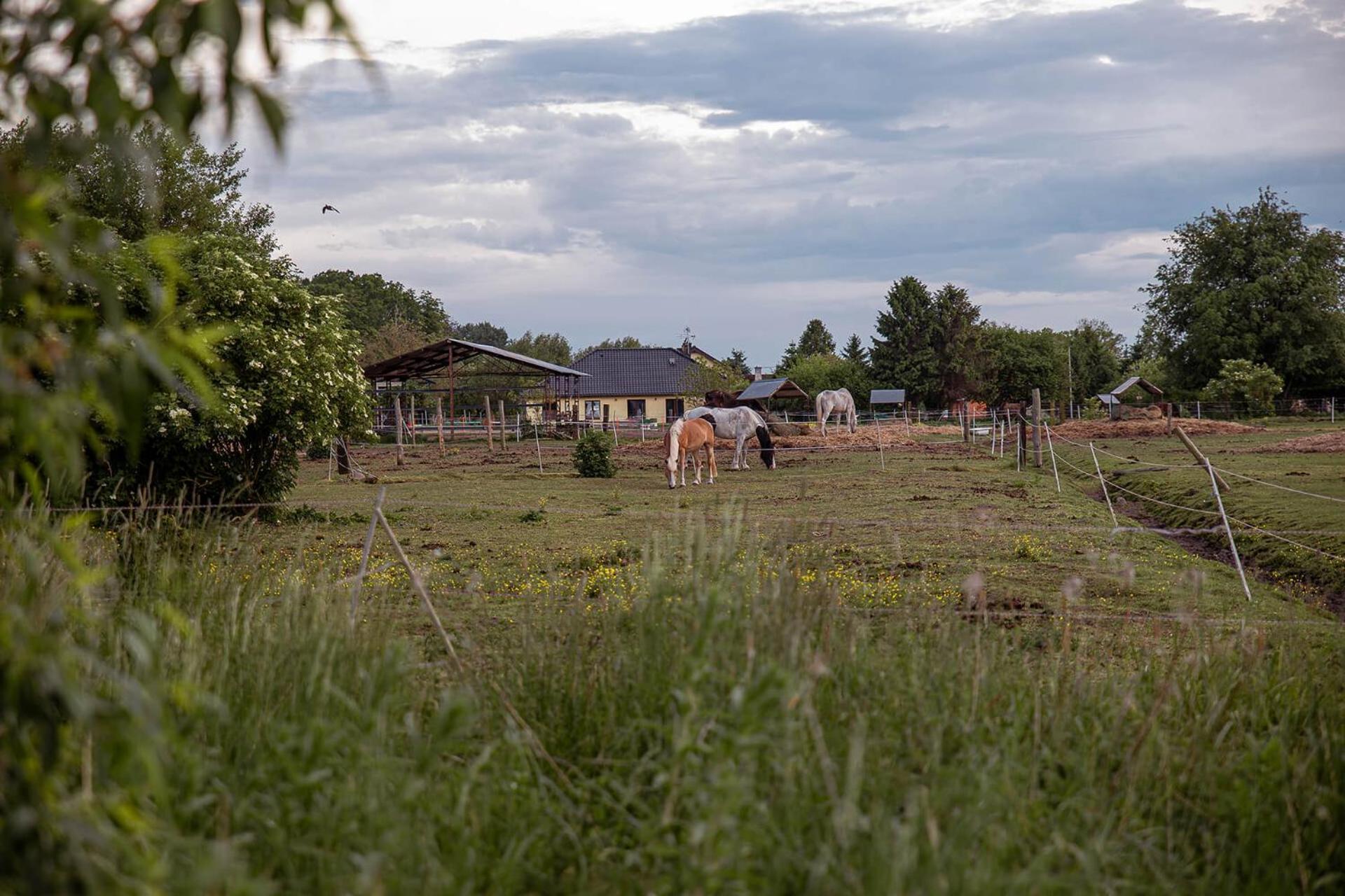 Sloneczna Przystan Vila Dziwnówek Exterior foto